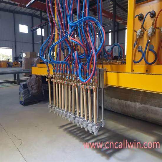 Heavy Duty 5 Axis Gantry CNC Plasma Cutter Oxy-Fuel Flame Cutting Machine